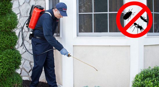 Aydıncık Dezenfeksiyon böcek ilaçlama ve haşere kontrolü — ilaclama-tr.com